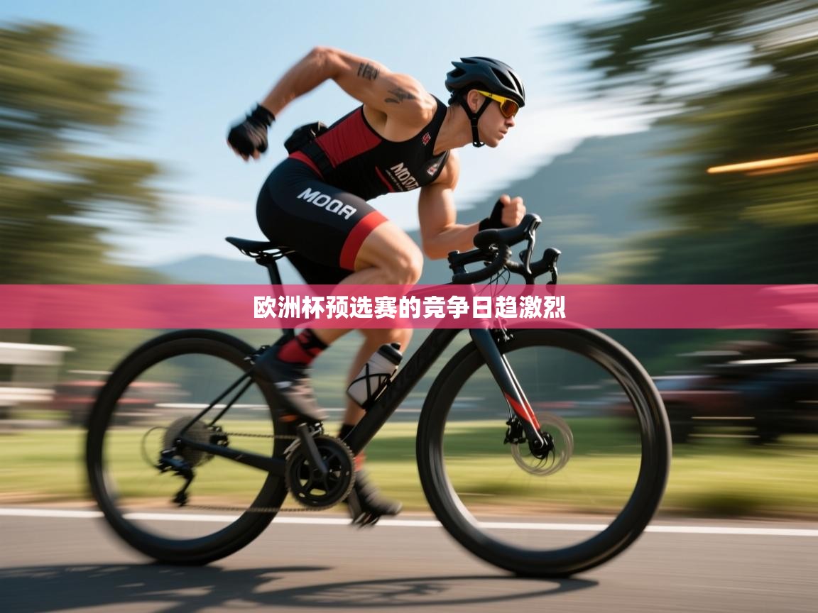 欧洲杯预选赛的竞争日趋激烈  第2张